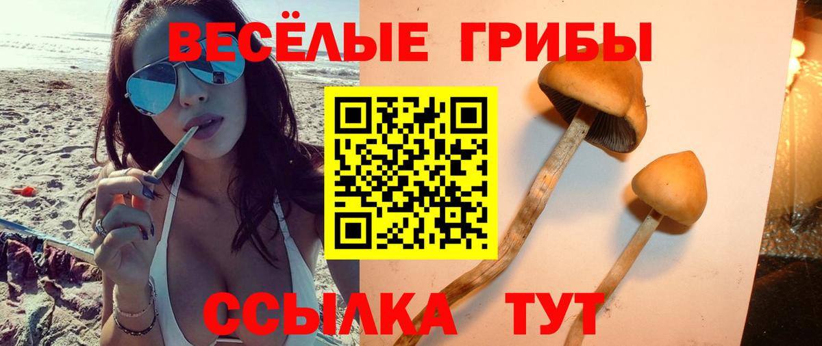 Галлюциногенные грибы мицелий  Вход с VPN  Большой Камень  Галлюциногенные грибы мицелий 