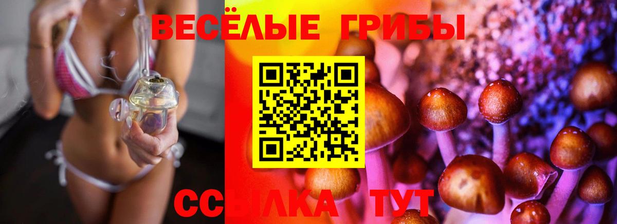 Псилоцибиновые грибы прущие грибы Большой Камень